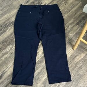 Christopher & Banks Navy Slim Pants